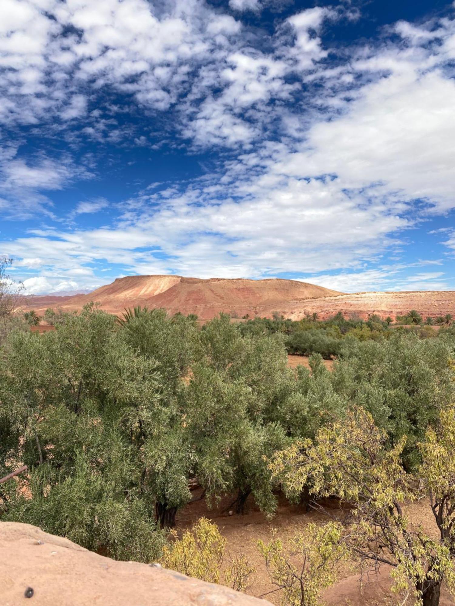 Hotel Dar Adiafa Dar Asalam Ait Benhaddou Exteriér fotografie